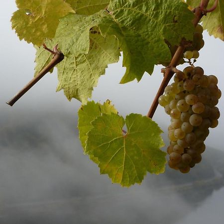Winzerhof Gietzen Hotel Hatzenport Luaran gambar
