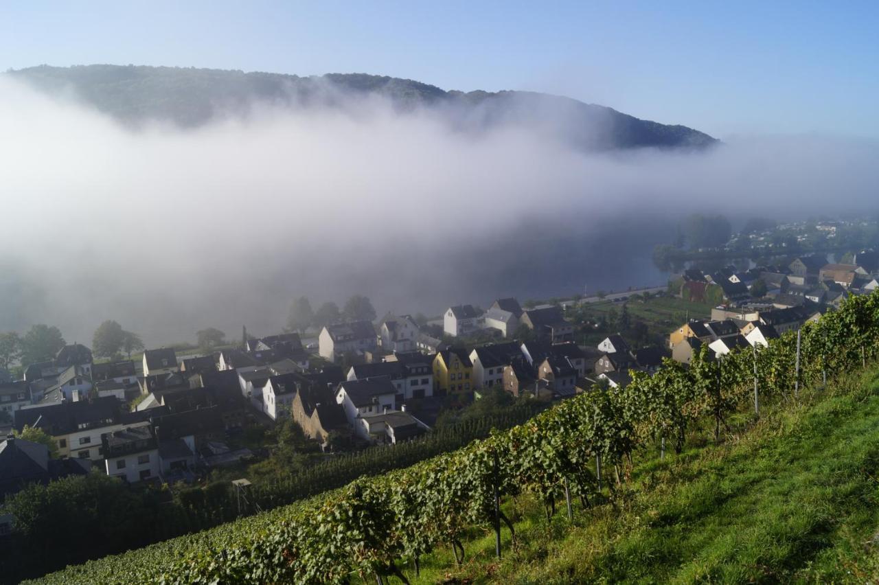 Winzerhof Gietzen Hotel Hatzenport Luaran gambar