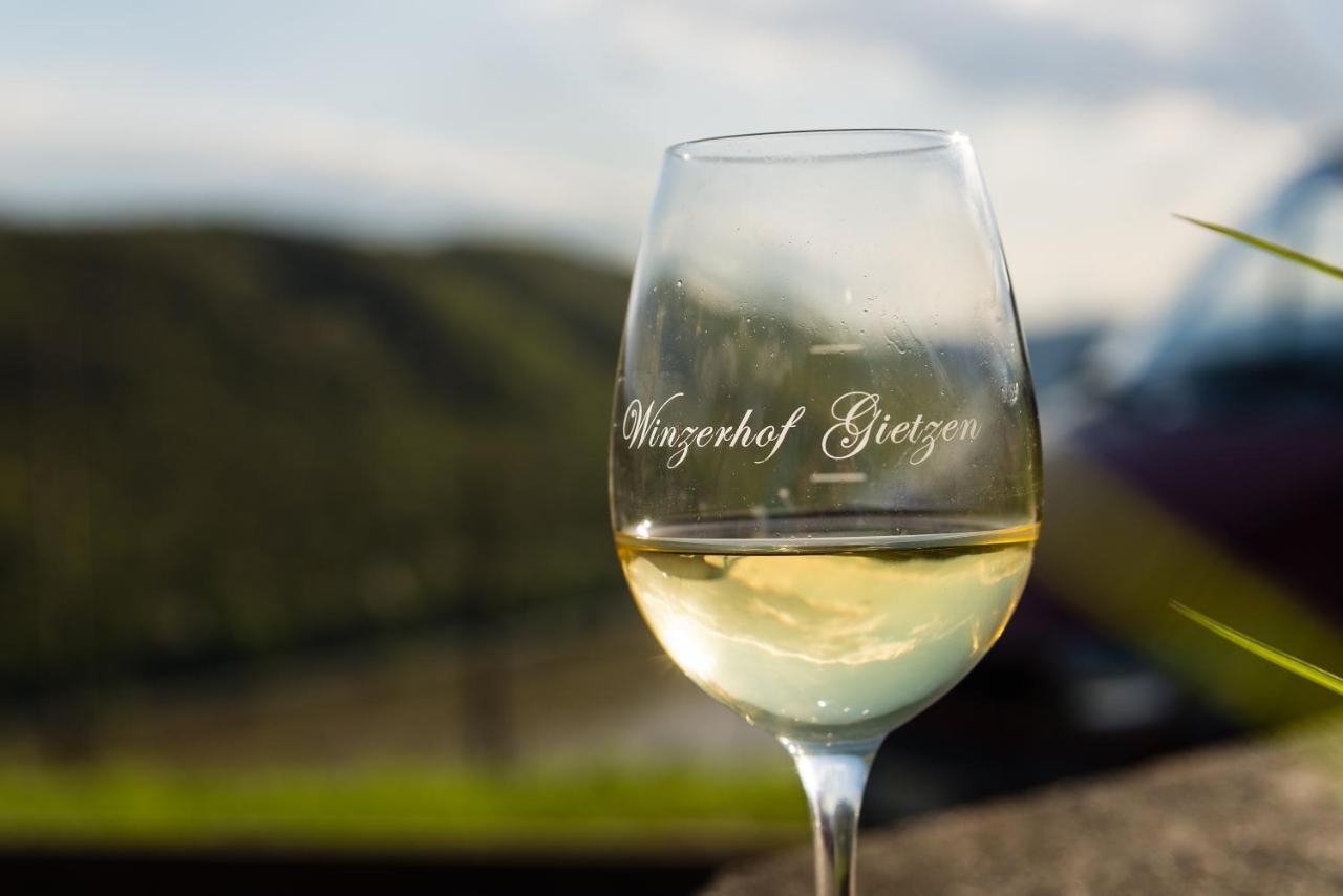 Winzerhof Gietzen Hotel Hatzenport Luaran gambar